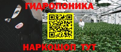 PSILOCYBIN Гагарин