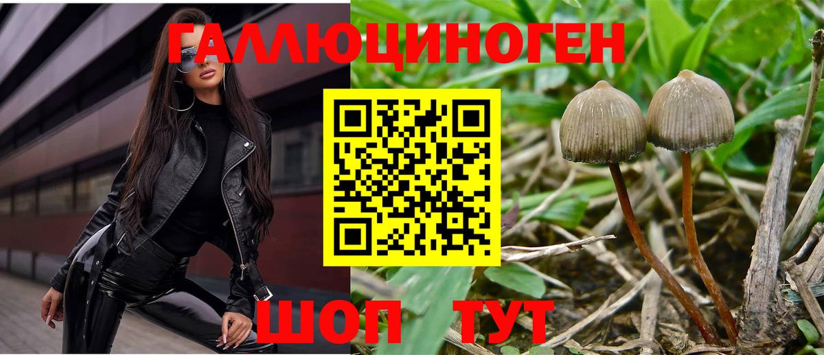 Лабинск  Галлюциногенные грибы Psilocybe  цены   Вход с VPN 
