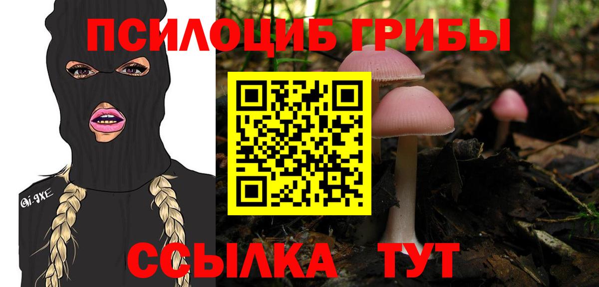 Галлюциногенные грибы Psilocybe  Псилоцибиновые грибы GOLDEN TEACHER  Лабинск 